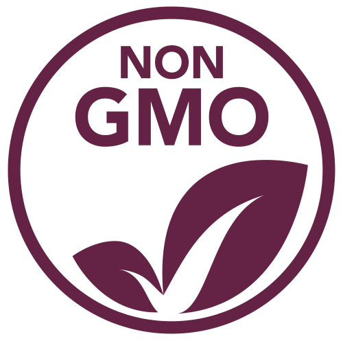 A circular non-GMO certification-style logo with the words “NON GMO” in dark burgundy above a matching leaf emblem on a white background.